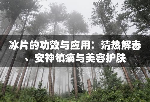 冰片的功效与应用：清热解毒、安神镇痛与美容护肤