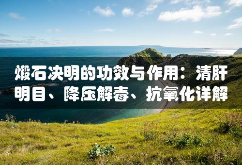 煅石决明的功效与作用：清肝明目、降压解毒、抗氧化详解