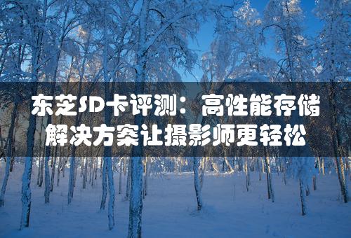 东芝SD卡评测：高性能存储解决方案让摄影师更轻松