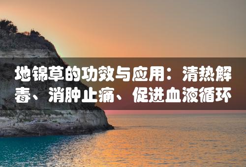 地锦草的功效与应用：清热解毒、消肿止痛、促进血液循环