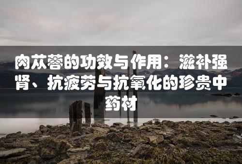 肉苁蓉的功效与作用：滋补强肾、抗疲劳与抗氧化的珍贵中药材