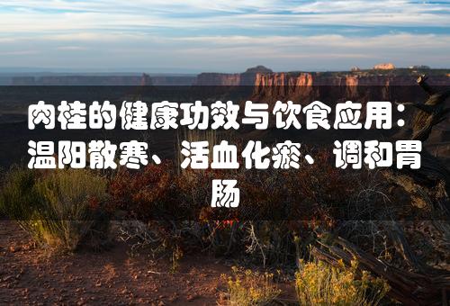 肉桂的健康功效与饮食应用：温阳散寒、活血化瘀、调和胃肠