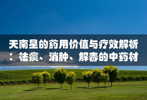 天南星的药用价值与疗效解析：祛痰、消肿、解毒的中药材