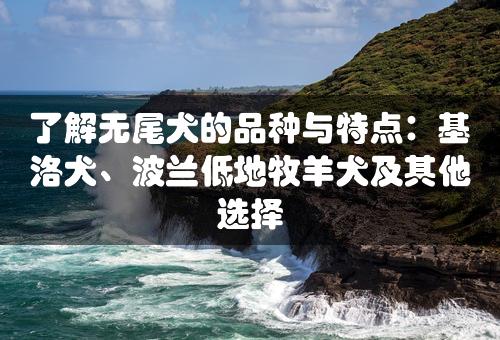 了解无尾犬的品种与特点：基洛犬、波兰低地牧羊犬及其他选择