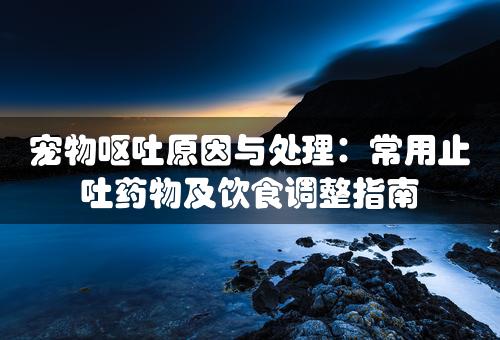 宠物呕吐原因与处理：常用止吐药物及饮食调整指南