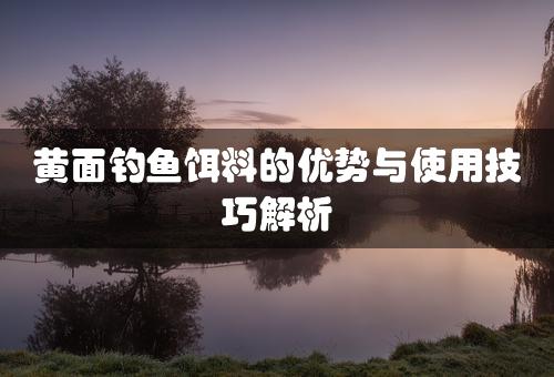 黄面钓鱼饵料的优势与使用技巧解析