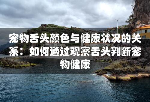 宠物舌头颜色与健康状况的关系：如何通过观察舌头判断宠物健康