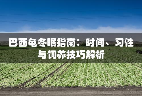 巴西龟冬眠指南：时间、习性与饲养技巧解析