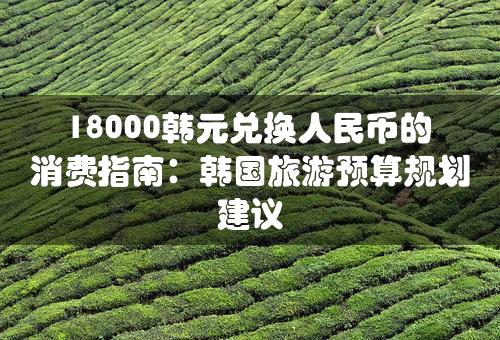 18000韩元兑换人民币的消费指南：韩国旅游预算规划建议