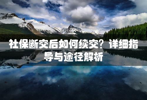 社保断交后如何续交？详细指导与途径解析