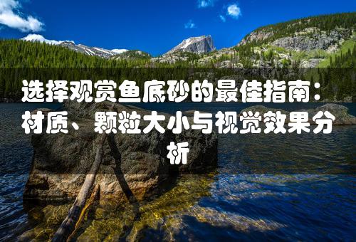 选择观赏鱼底砂的最佳指南：材质、颗粒大小与视觉效果分析