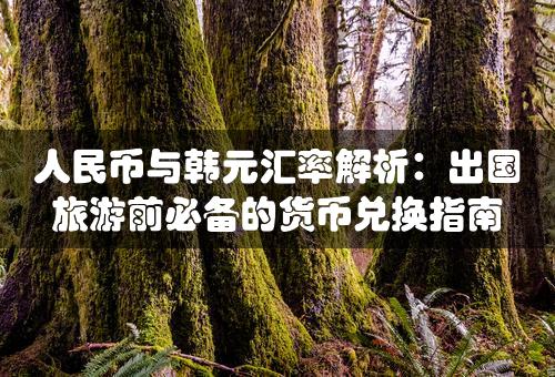 人民币与韩元汇率解析：出国旅游前必备的货币兑换指南