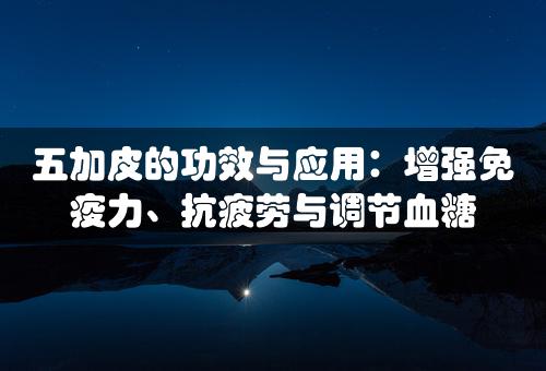 五加皮的功效与应用：增强免疫力、抗疲劳与调节血糖