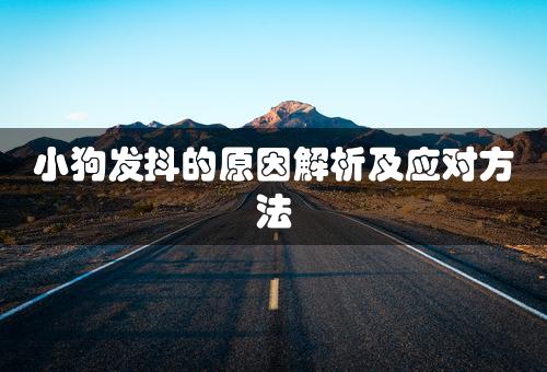 小狗发抖的原因解析及应对方法