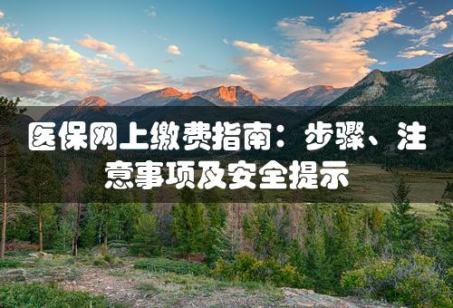 医保网上缴费指南：步骤、注意事项及安全提示