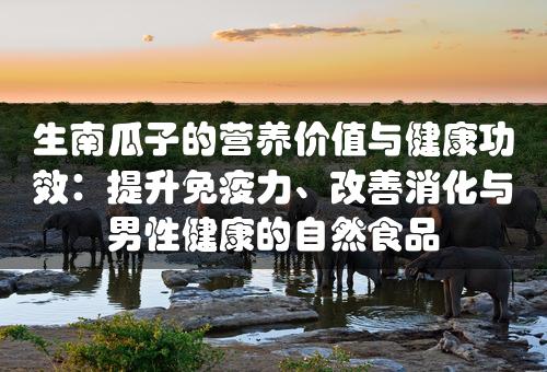 生南瓜子的营养价值与健康功效：提升免疫力、改善消化与男性健康的自然食品