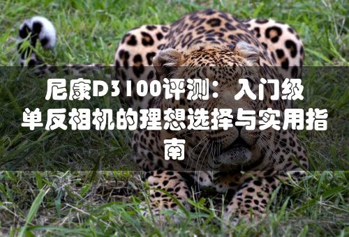 尼康D3100评测：入门级单反相机的理想选择与实用指南