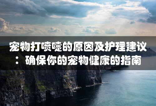 宠物打喷嚏的原因及护理建议：确保你的宠物健康的指南