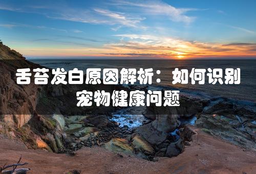 舌苔发白原因解析：如何识别宠物健康问题