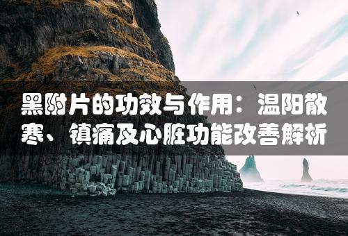 黑附片的功效与作用：温阳散寒、镇痛及心脏功能改善解析