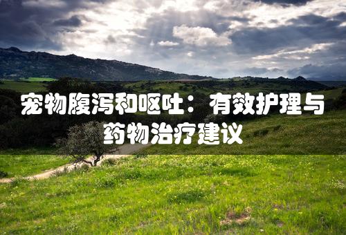 宠物腹泻和呕吐：有效护理与药物治疗建议