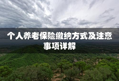 个人养老保险缴纳方式及注意事项详解