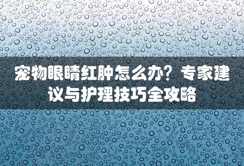 宠物眼睛红肿怎么办？专家建议与护理技巧全攻略