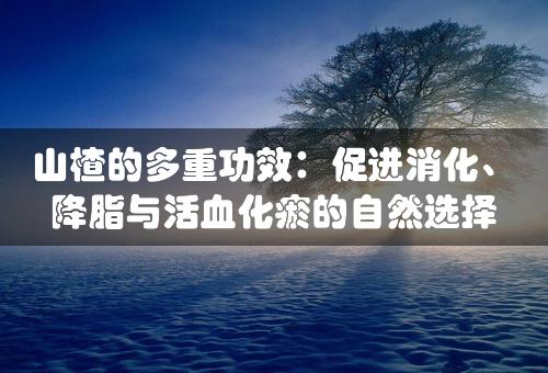 山楂的多重功效：促进消化、降脂与活血化瘀的自然选择