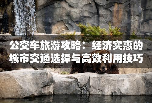 公交车旅游攻略：经济实惠的城市交通选择与高效利用技巧