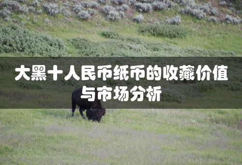 大黑十人民币纸币的收藏价值与市场分析