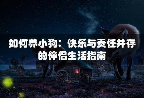 如何养小狗：快乐与责任并存的伴侣生活指南