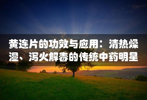 黄连片的功效与应用：清热燥湿、泻火解毒的传统中药明星