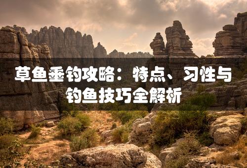 草鱼垂钓攻略：特点、习性与钓鱼技巧全解析