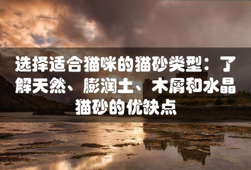 选择适合猫咪的猫砂类型：了解天然、膨润土、木屑和水晶猫砂的优缺点