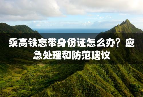 乘高铁忘带身份证怎么办？应急处理和防范建议