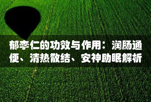 郁李仁的功效与作用：润肠通便、清热散结、安神助眠解析