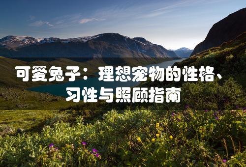 可爱兔子：理想宠物的性格、习性与照顾指南