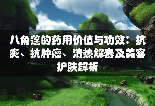 八角莲的药用价值与功效：抗炎、抗肿瘤、清热解毒及美容护肤解析