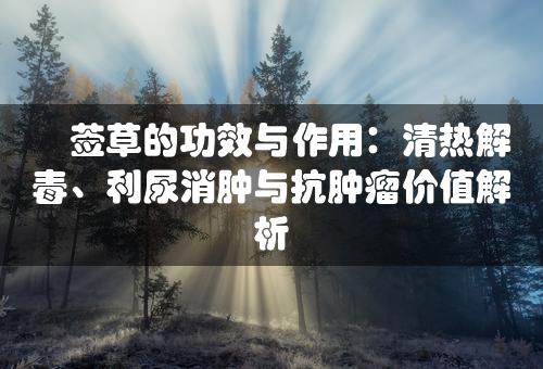 豨莶草的功效与作用：清热解毒、利尿消肿与抗肿瘤价值解析