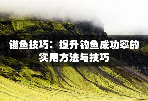 锚鱼技巧：提升钓鱼成功率的实用方法与技巧