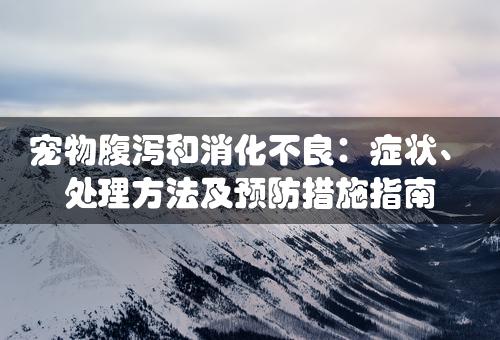 宠物腹泻和消化不良：症状、处理方法及预防措施指南