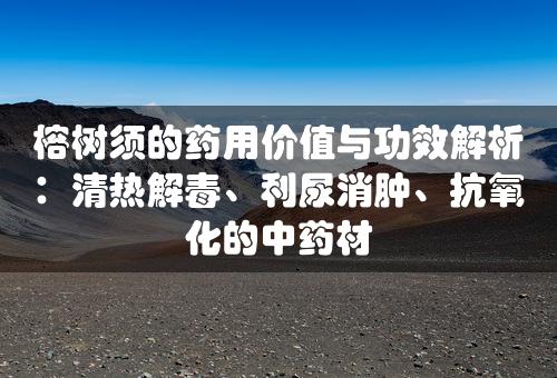 榕树须的药用价值与功效解析：清热解毒、利尿消肿、抗氧化的中药材