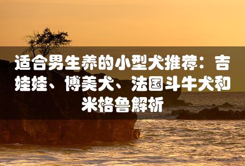 适合男生养的小型犬推荐：吉娃娃、博美犬、法国斗牛犬和米格鲁解析