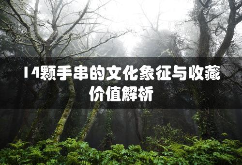 14颗手串的文化象征与收藏价值解析