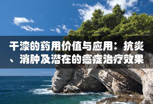 干漆的药用价值与应用：抗炎、消肿及潜在的癌症治疗效果