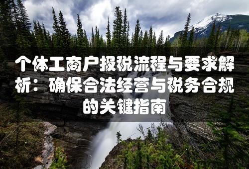 个体工商户报税流程与要求解析：确保合法经营与税务合规的关键指南