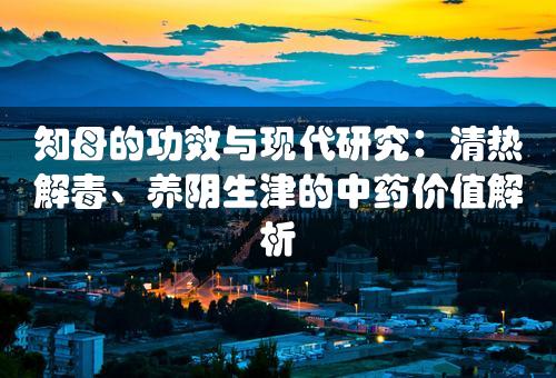 知母的功效与现代研究：清热解毒、养阴生津的中药价值解析