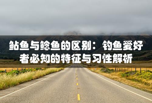 鲇鱼与鲶鱼的区别：钓鱼爱好者必知的特征与习性解析