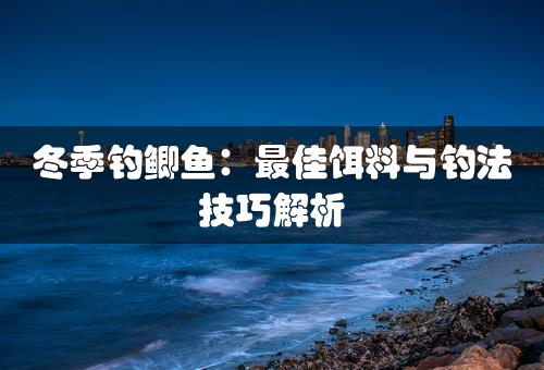 冬季钓鲫鱼：最佳饵料与钓法技巧解析