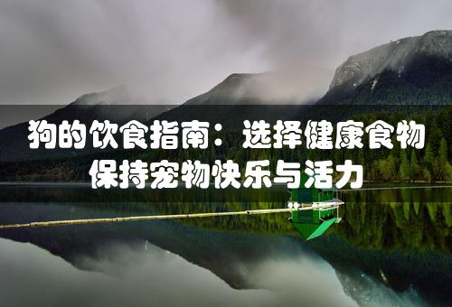 狗的饮食指南：选择健康食物保持宠物快乐与活力